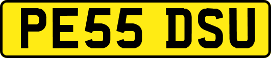 PE55DSU