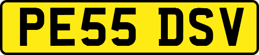 PE55DSV