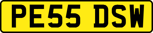 PE55DSW