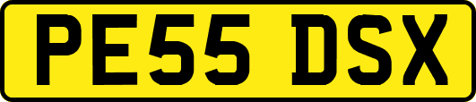 PE55DSX