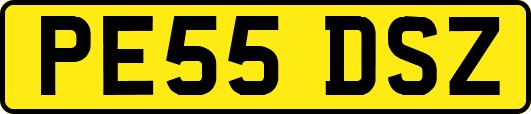 PE55DSZ