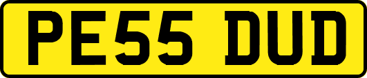 PE55DUD
