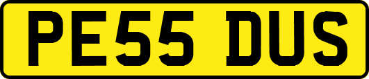 PE55DUS