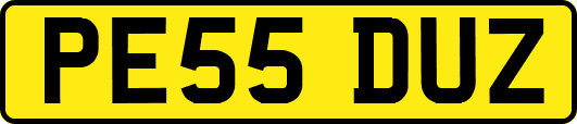 PE55DUZ