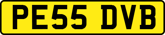 PE55DVB