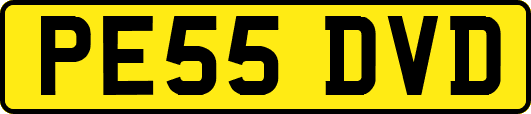 PE55DVD