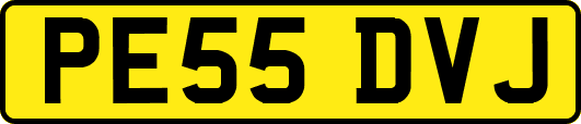 PE55DVJ
