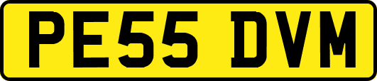 PE55DVM