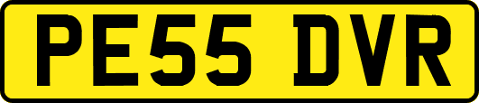 PE55DVR