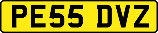 PE55DVZ