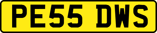 PE55DWS