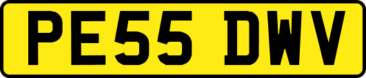 PE55DWV