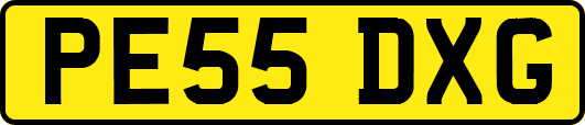 PE55DXG