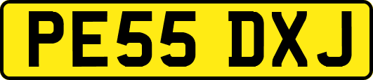 PE55DXJ