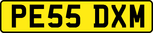 PE55DXM