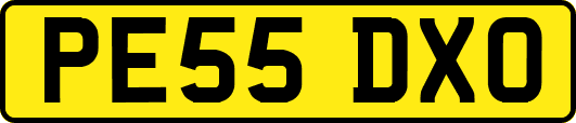 PE55DXO