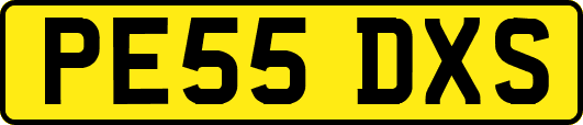 PE55DXS