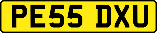 PE55DXU