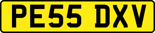 PE55DXV