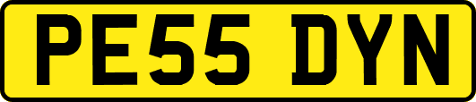 PE55DYN