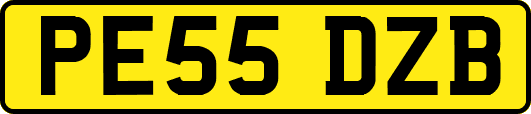 PE55DZB