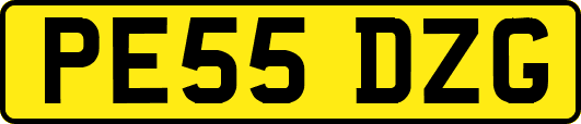 PE55DZG