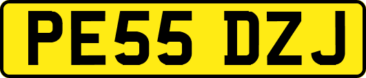 PE55DZJ