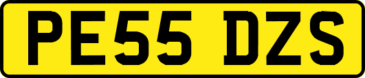 PE55DZS