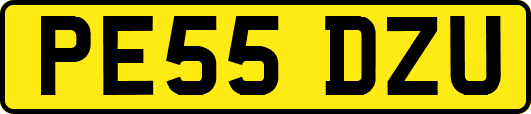 PE55DZU