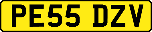 PE55DZV