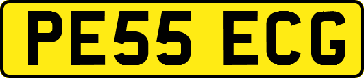PE55ECG