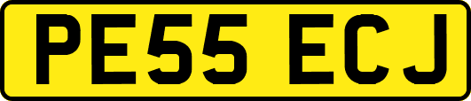 PE55ECJ