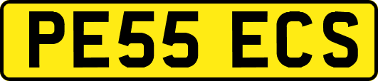 PE55ECS