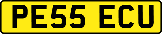 PE55ECU