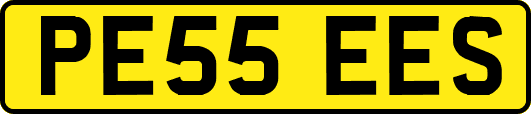 PE55EES