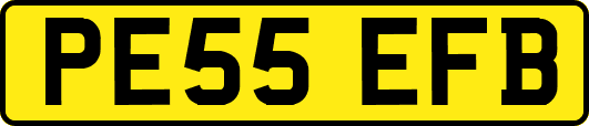PE55EFB