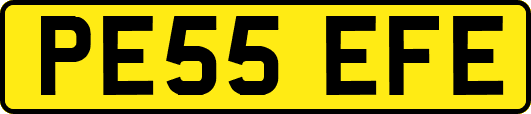 PE55EFE