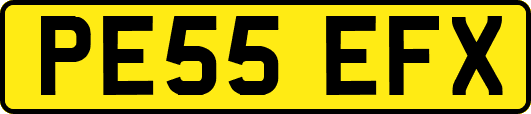 PE55EFX