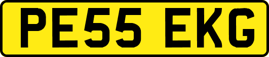 PE55EKG