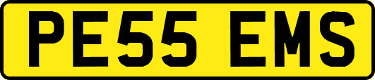 PE55EMS