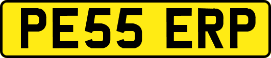PE55ERP