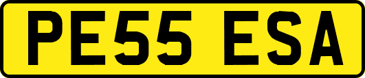 PE55ESA