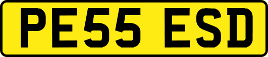 PE55ESD