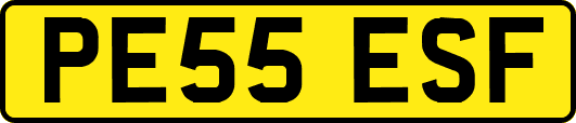 PE55ESF