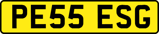 PE55ESG