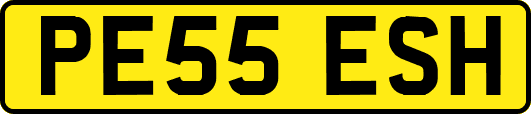 PE55ESH