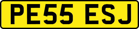 PE55ESJ