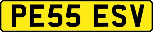 PE55ESV
