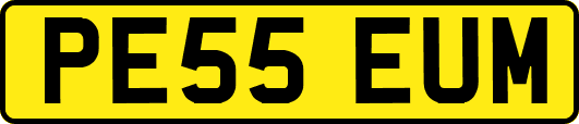 PE55EUM
