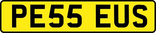 PE55EUS